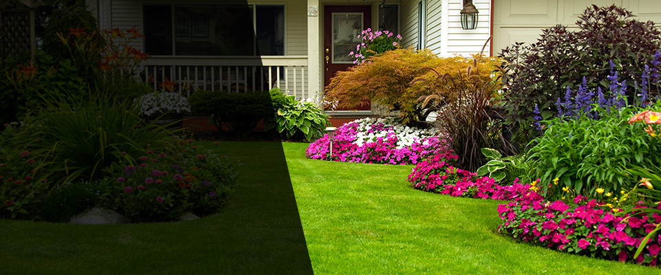Easley Landscapers